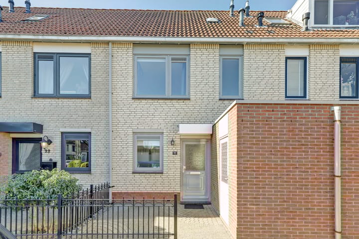 Foto 30 van Zeearend 20