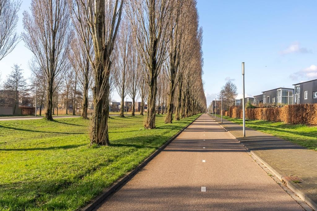 Foto 35 van Walter Kollolaan 194