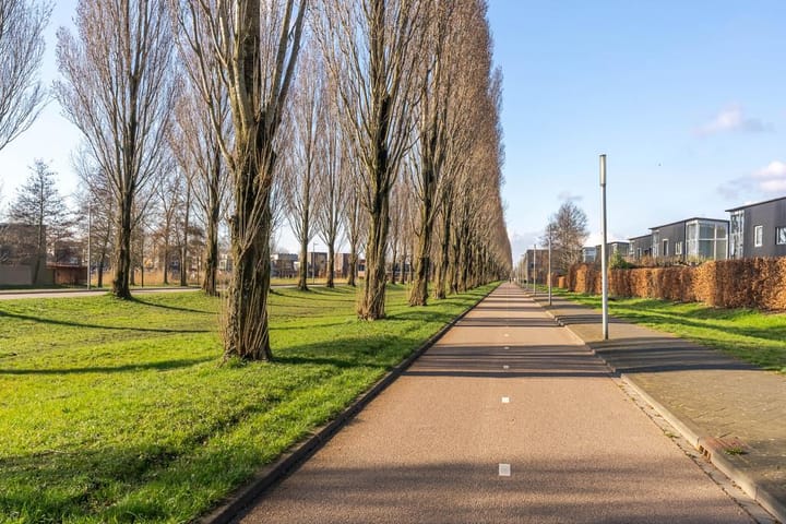 Foto 35 van Walter Kollolaan 194