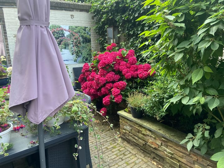 Foto 42 van Peperstraat 16-B