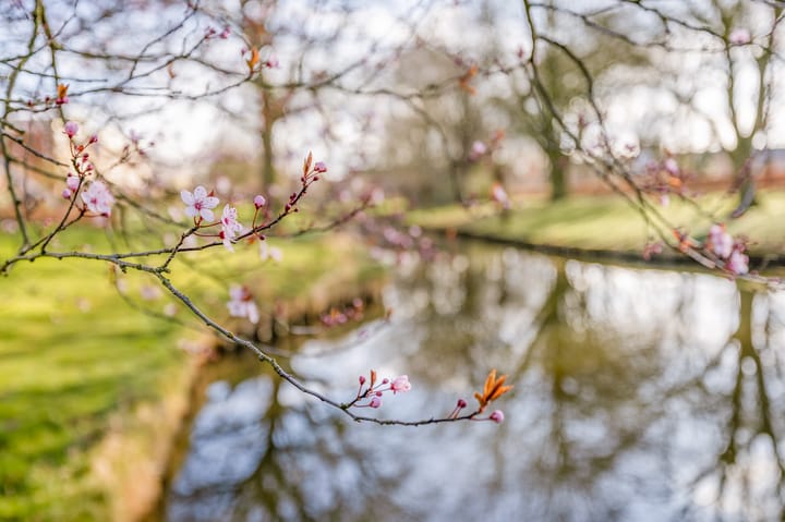 Foto 40 van Toutenburg 42