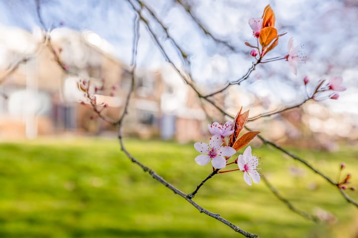 Foto 41 van Toutenburg 42