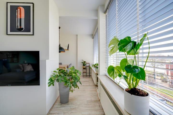 Foto 14 van Rooseveltlaan 484