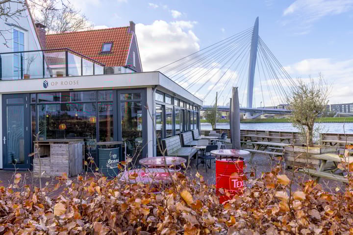 Foto 43 van Rooseveltlaan 484