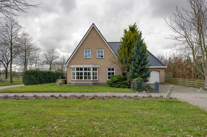 Photo 70 of Wetterroas 19