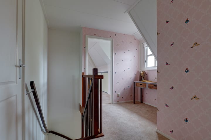 Photo 35 of Wetterroas 19