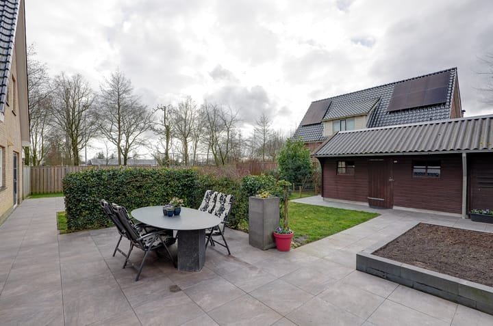 Photo 51 of Wetterroas 19