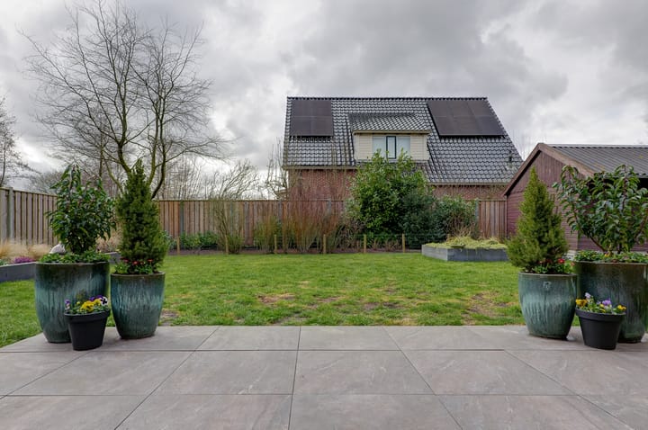 Photo 57 of Wetterroas 19