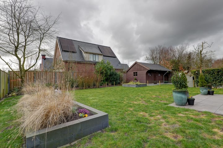 Photo 58 of Wetterroas 19