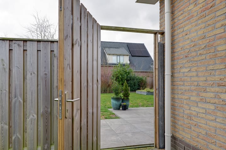 Photo 62 of Wetterroas 19