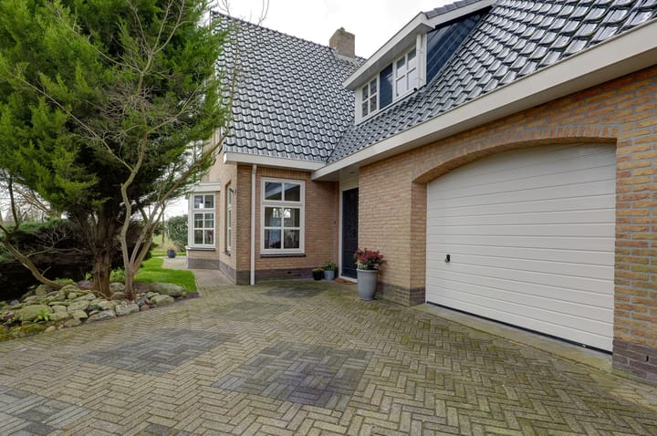 Photo 65 of Wetterroas 19