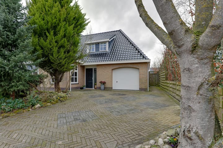 Photo 66 of Wetterroas 19