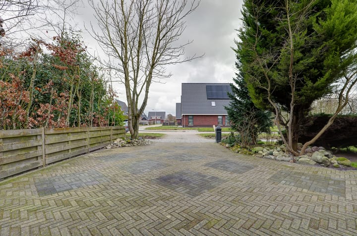 Photo 68 of Wetterroas 19