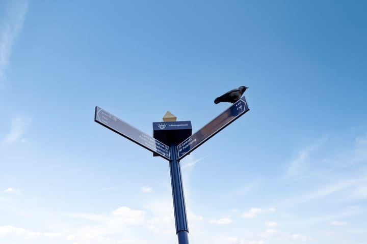 Foto 25 van Bordeslaan 248