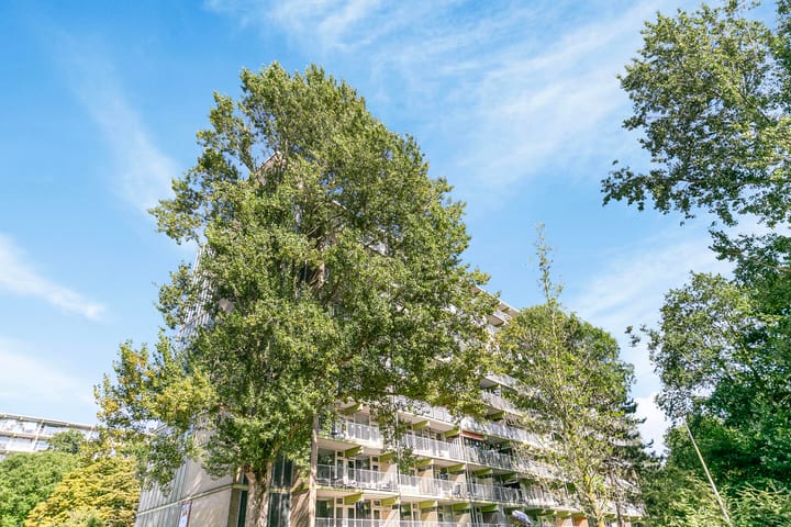 Foto 27 van Westervenne 249