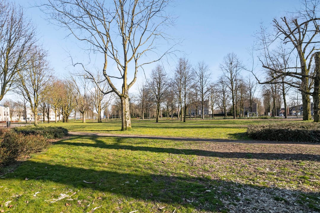 Foto 31 van van Wassenhovestraat 40