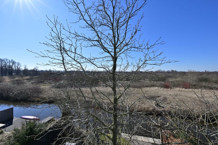 Photo 44 of Triangelhof 156