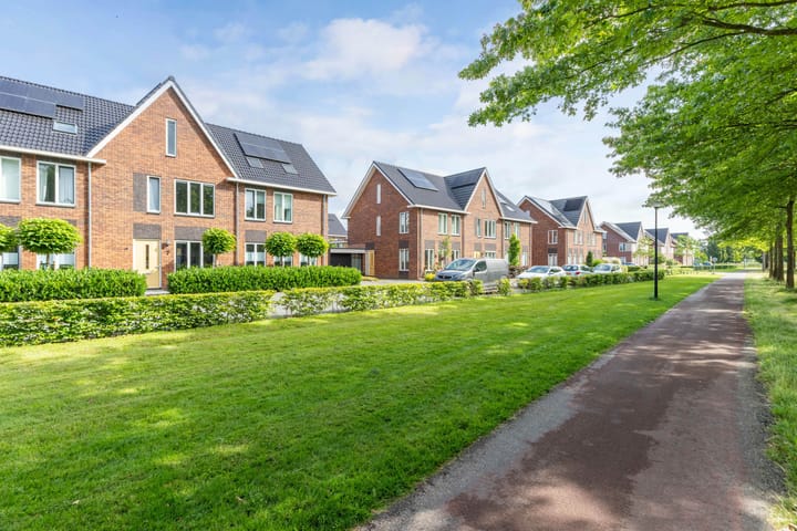 Foto 4 van Minstreel 7