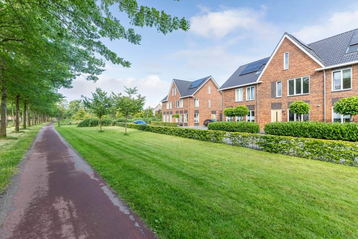 Foto 32 van Minstreel 7