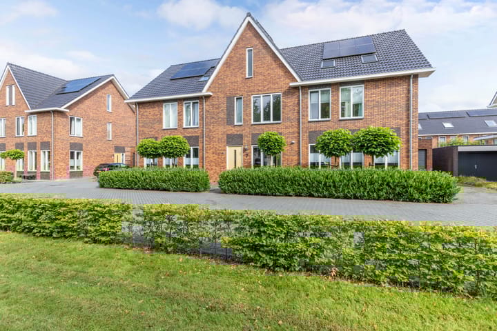 Foto 33 van Minstreel 7