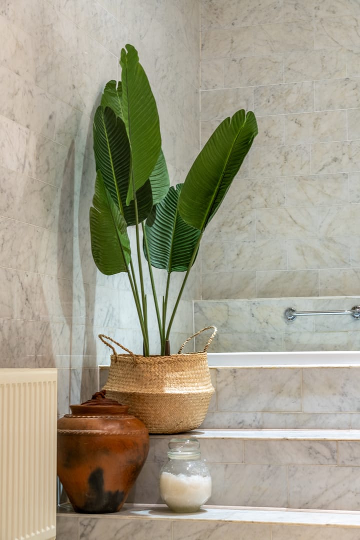 Foto 56 van Cornelis Schuytstraat 62