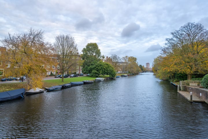 Foto 99 van Cornelis Schuytstraat 62