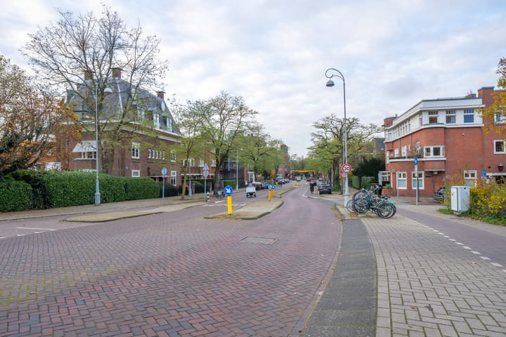 Foto 100 van Cornelis Schuytstraat 62