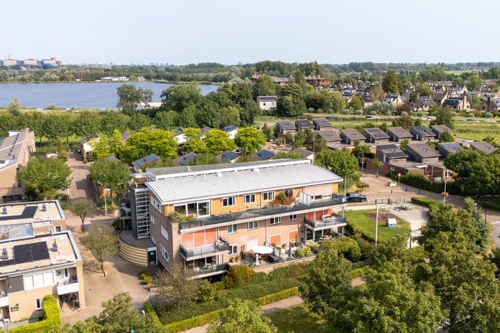 Leeuwenburgh 49