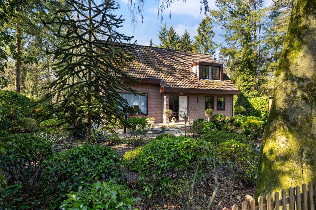 Photo 38 of Nieuwe Laaklaan 1-C