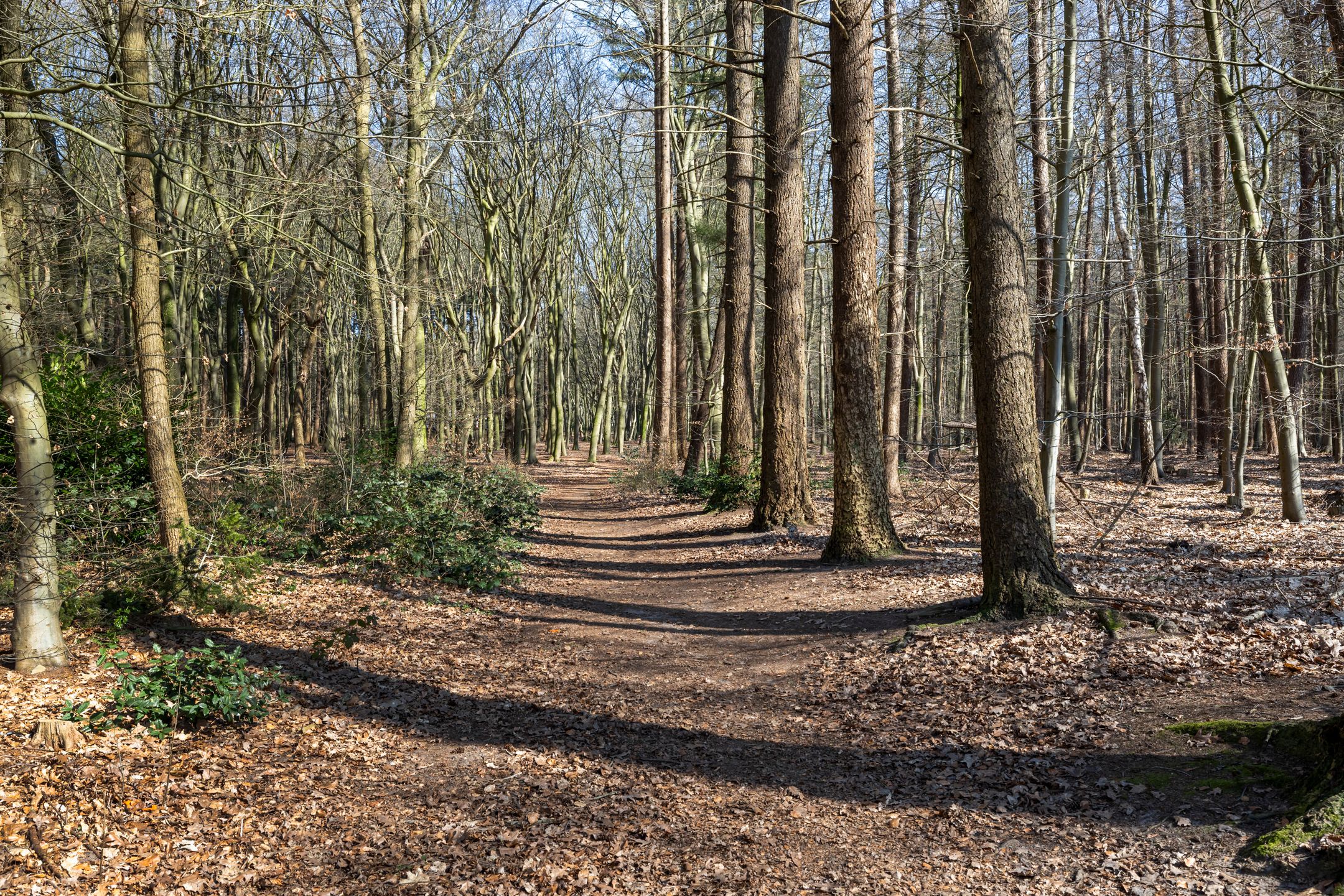 Photo 45 of Nieuwe Laaklaan 1-C