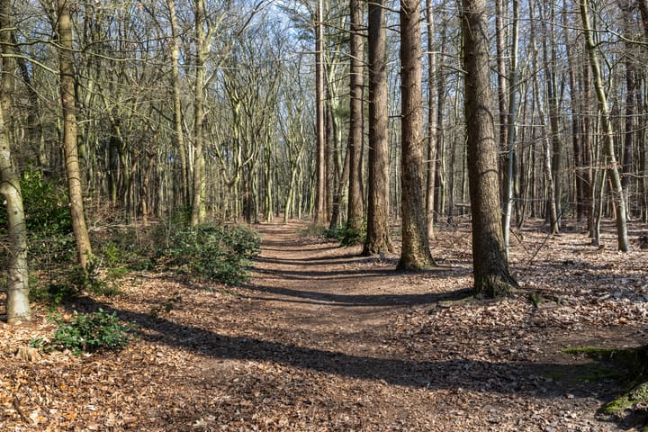 Foto 45 van Nieuwe Laaklaan 1-C