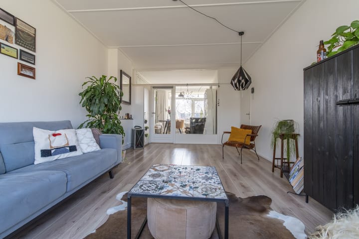 Foto 3 van Jan Steenlaan 61-01