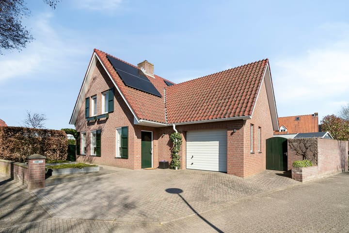 undefined main image