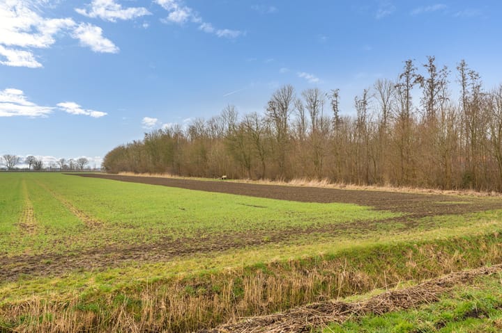 Photo 41 of H.R.Remmersweg 31