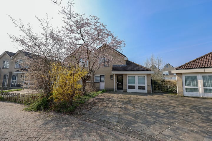 Foto 1 van Joggerspad 13