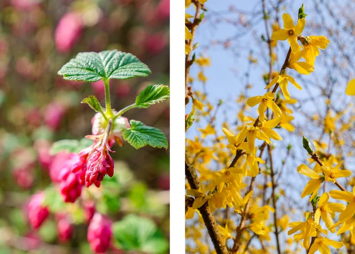 Foto 44 van Joggerspad 13