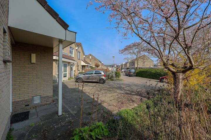 Foto 42 van Joggerspad 13