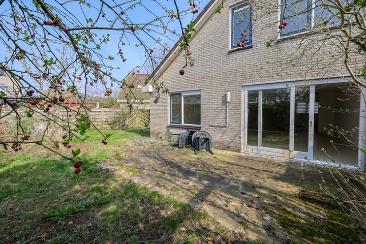 Foto 31 van Joggerspad 13