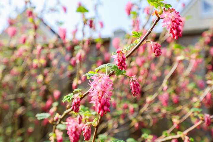 Foto 45 van Joggerspad 13