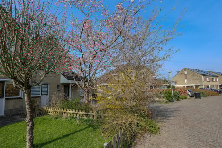 Foto 41 van Joggerspad 13