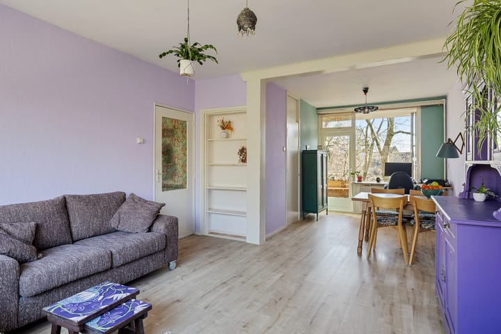 Foto 7 van Plesmanstraat 267