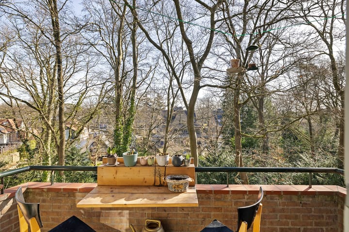 Foto 11 van Plesmanstraat 267