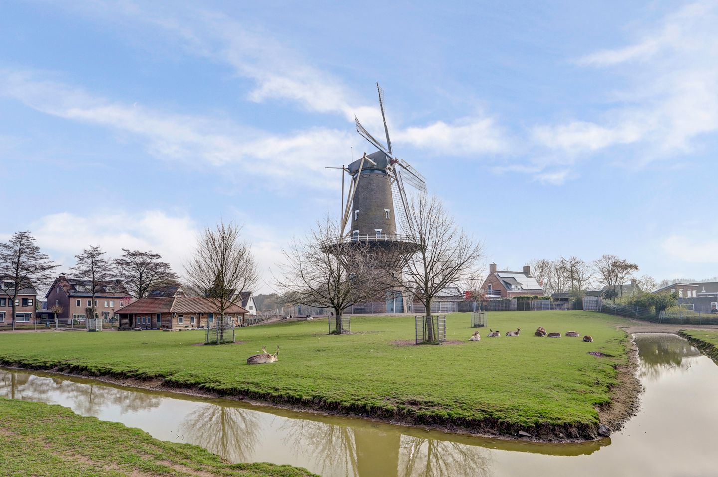 Foto 50 van Brederolaan 4