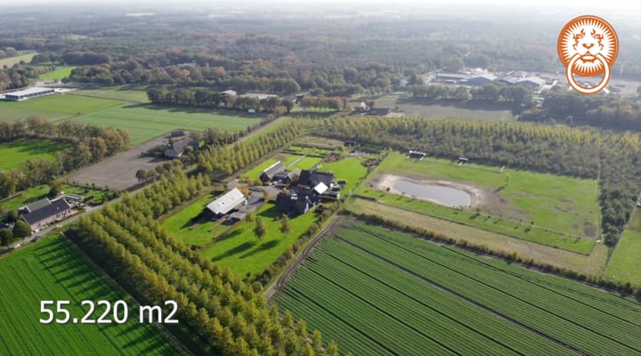 Foto 57 van Molenstraat 6