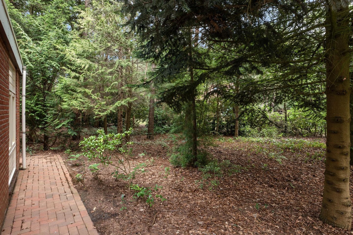 Photo 34 of Vianenweg 194