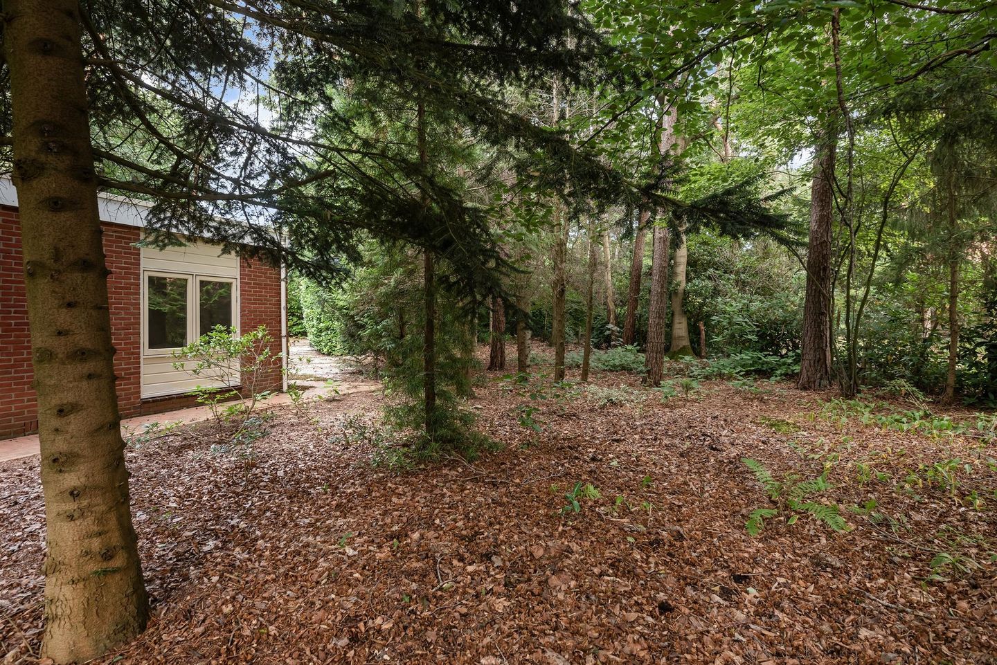 Photo 35 of Vianenweg 194