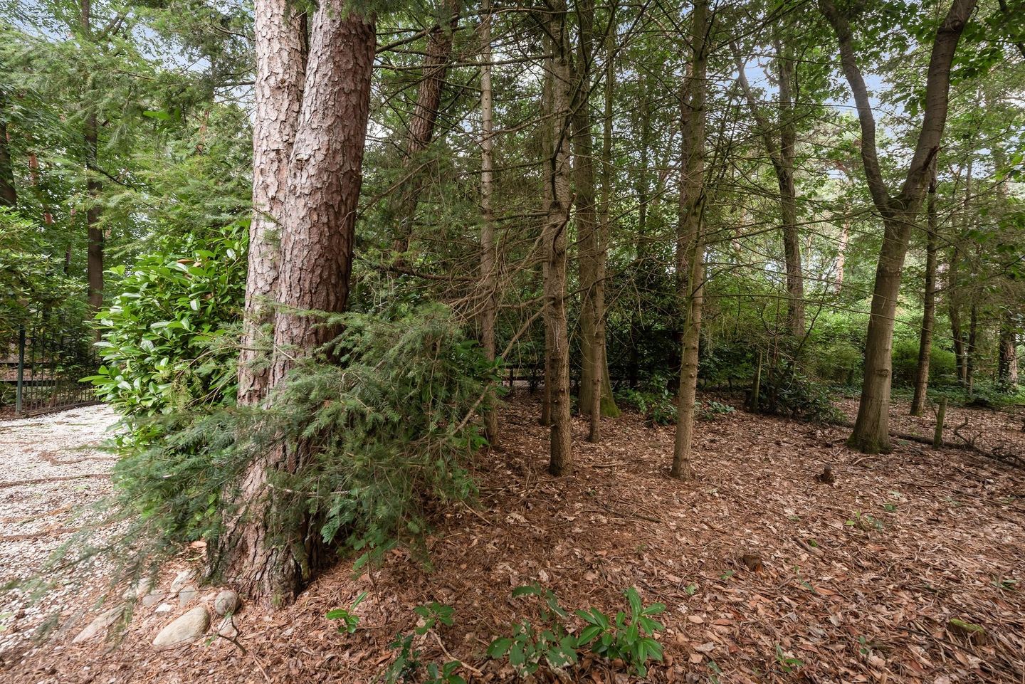 Photo 40 of Vianenweg 194