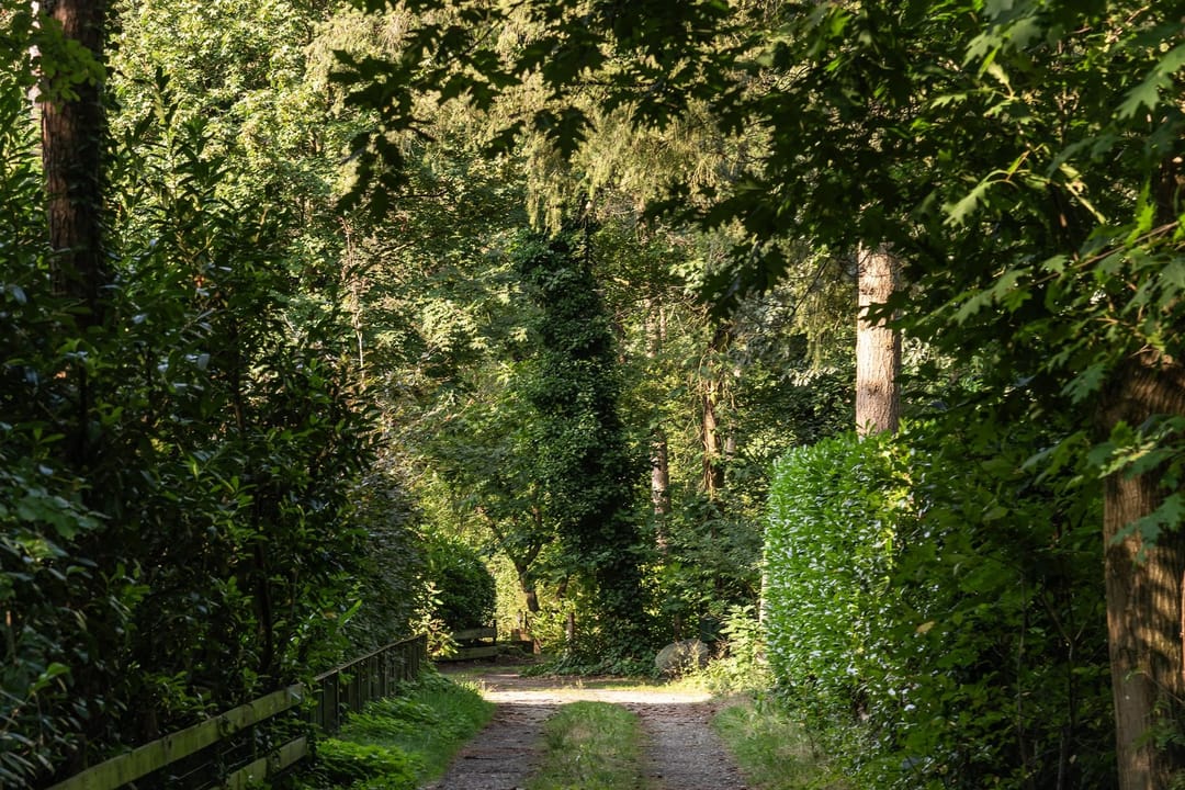 Photo 41 of Vianenweg 194