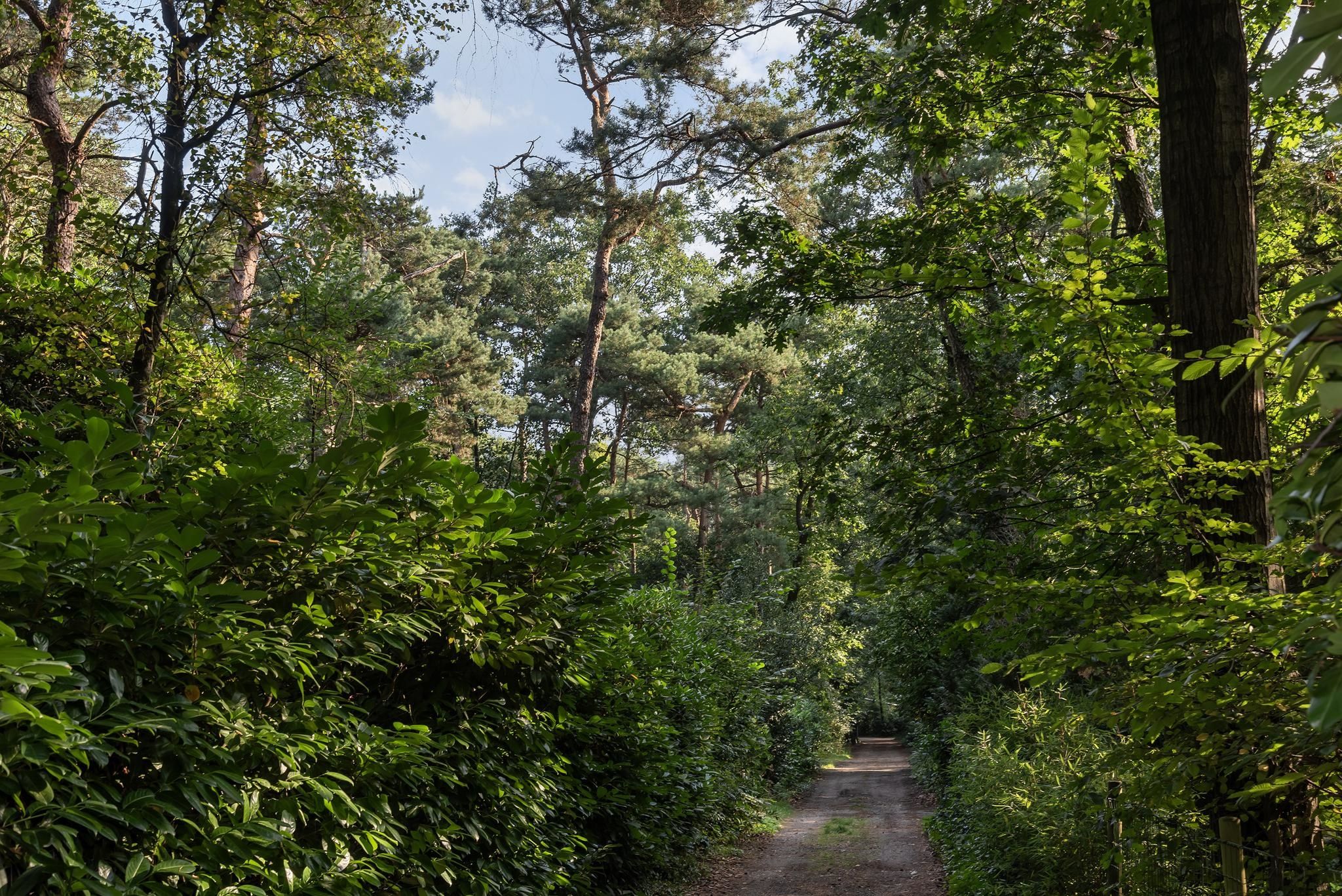 Photo 42 of Vianenweg 194