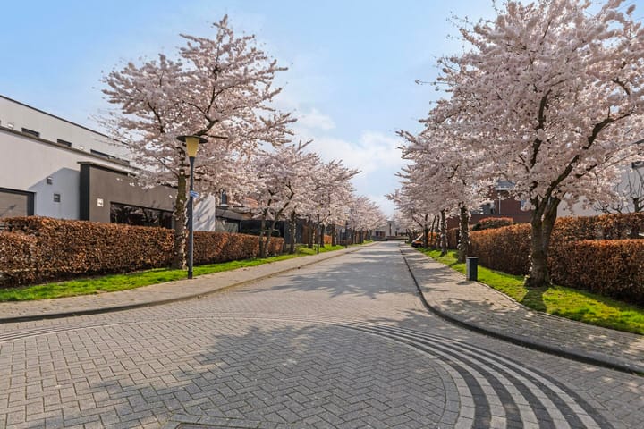 Foto 38 van Dordogne 22